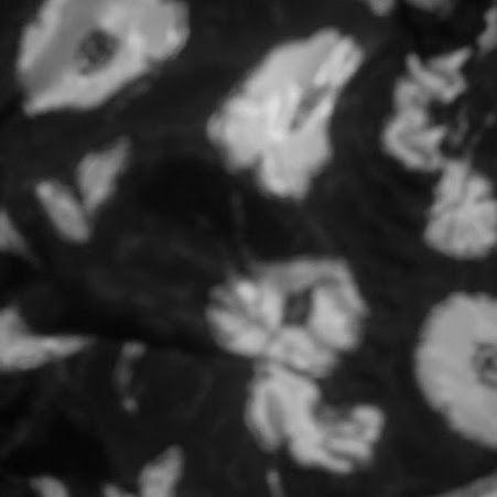 Ethel Jackson Photo 38