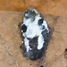 Jason Pollack Photo 24
