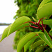 Clyde Bush Photo 9