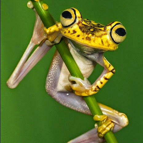 Wendy Rogers Photo 8