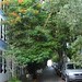 John Jowers Photo 23