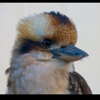 Wendy Wicks Photo 26