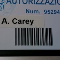 Anne Carey Photo 31