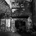 Jesse Hartley Photo 6