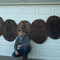 Stephen Hibbs Photo 14