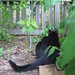 Freddie Bean Photo 12