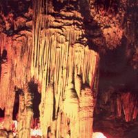 Tinh Le Photo 10