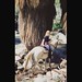 Kathleen O'Keefe Photo 19
