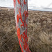 Heather Crook Photo 20