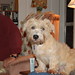 Glen Schultz Photo 17