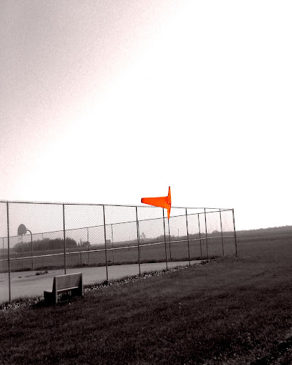 Nolan Alexander Photo 8