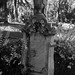 Marion Black Photo 37