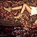 Laura Rone Photo 4