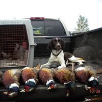 Rick Dennis Photo 38