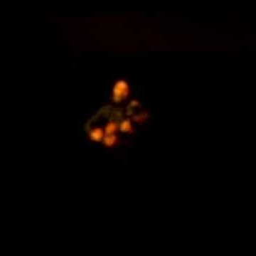 Chris Sweatman Photo 6