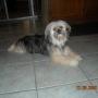 Ann Eubanks Photo 33