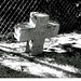George Graves Photo 36