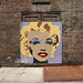 Marilyn Proctor Photo 11
