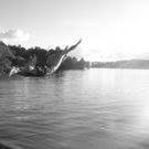 Bruce Taylor Photo 26