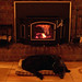 Bridget Wood Photo 7