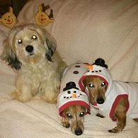 Janet Milam Photo 13