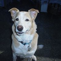 Sandy Thurston Photo 14