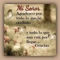 Shirley Rojas Photo 33