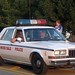 Dale Woods Photo 40