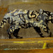 Robin Leake Photo 9