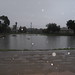 Ramona Rains Photo 10