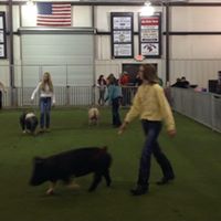 Jackson Lamb Photo 7