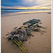Dawn Ellis Photo 23