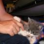 Virginia Huffman Photo 28