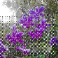 Josie Stewart Photo 10