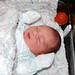 Marcus Meeks Photo 16