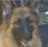Debra Chambers Photo 23