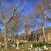 Richard Charlton Photo 35
