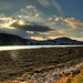 Andrew Conway Photo 43