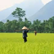 Toan Trinh Photo 30