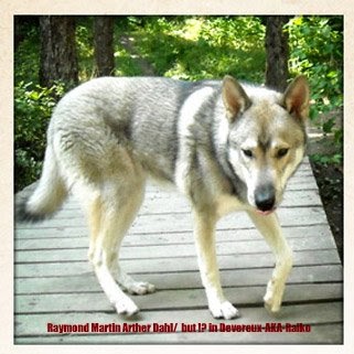 Raymond Dahl Photo 13