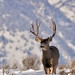 Daryl Hunter Photo 31