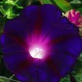 Michelle Michels Photo 5