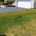 Keith Dressel Photo 14