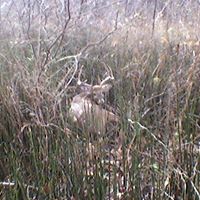 Ernie Lane Photo 16