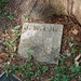Joseph Elliott Photo 19