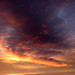 Dawn Robertson Photo 22