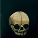 Adam Fuss Photo 7