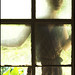 Jess Moody Photo 9