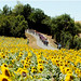Beth Schneider Photo 41
