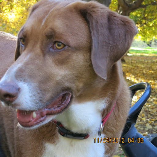 Judy Knight Photo 38